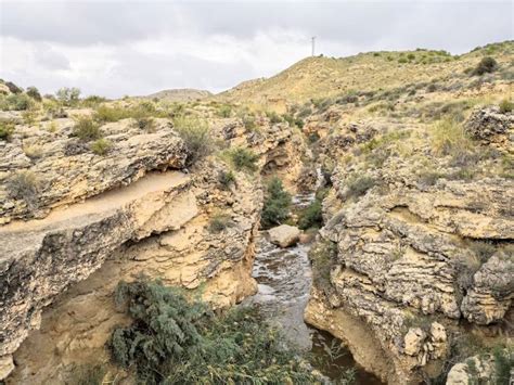 Sendero Pantano de Elche